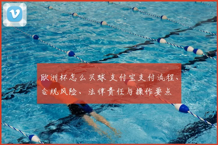 欧洲杯怎么买球 支付宝支付流程、合规风险、法律责任与操作要点
