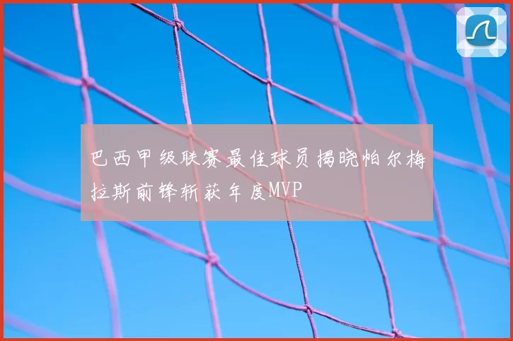 巴西甲级联赛最佳球员揭晓帕尔梅拉斯前锋斩获年度MVP
