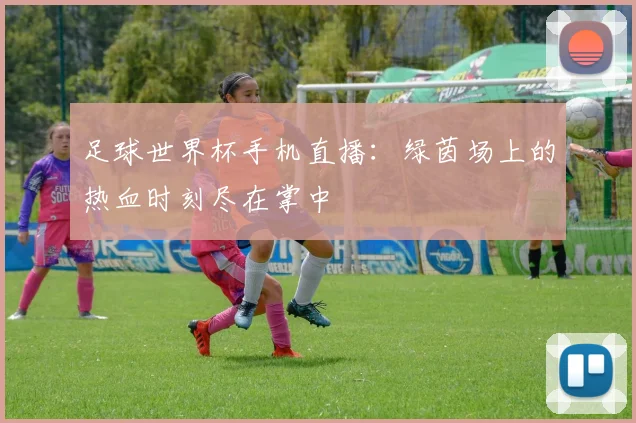 足球世界杯手机直播：绿茵场上的热血时刻尽在掌中