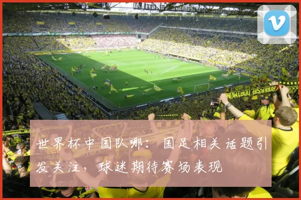 世界杯中国队哪：国足相关话题引发关注，球迷期待赛场表现
